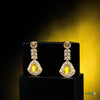 Gul-e-Rang Dangly Earrings